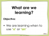 Indefinite Articles - 'A' and 'An' - Year 3 and 4 Teaching Resources (slide 2/18)